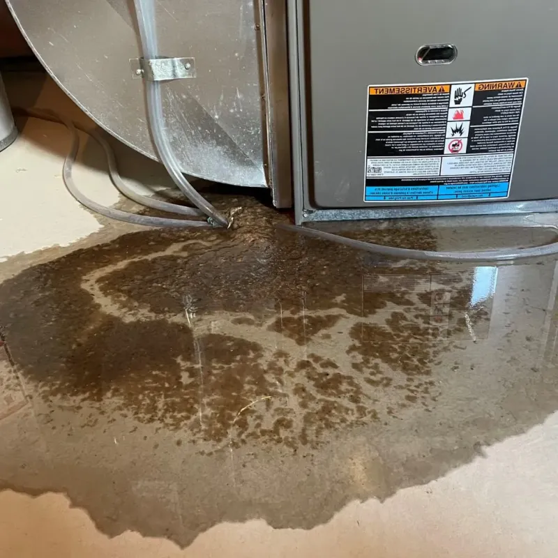 Pipe Burst and Leak Restoration in Hillsboro, MO