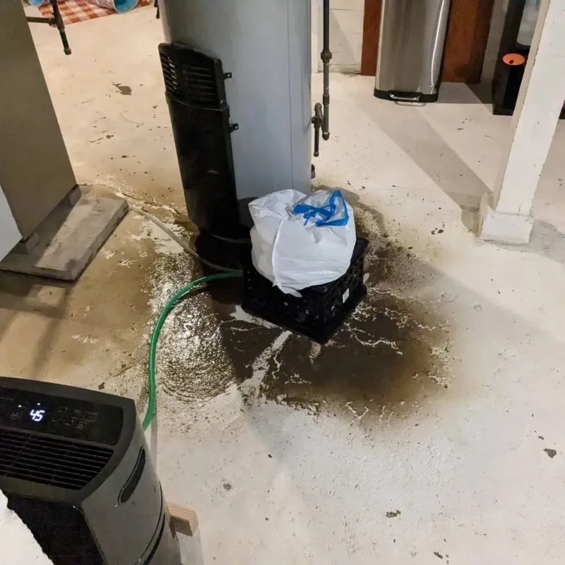 Sewage Backup Cleanup Service in Hillsboro, MO